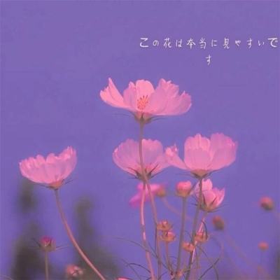 向前冲！这个“村”不一般